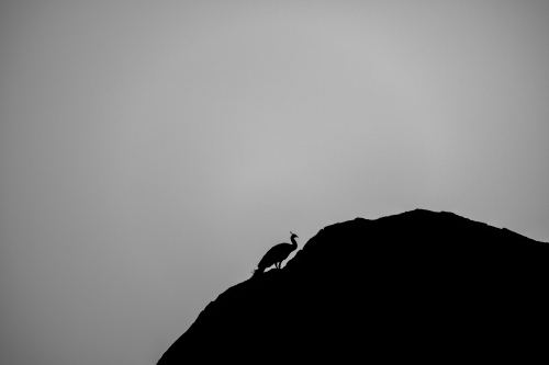 Nature - Ameenpur Lake