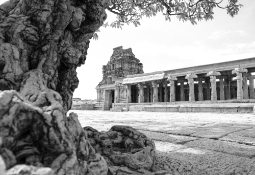 Monuments - Hampi