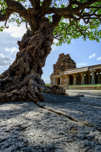 Monuments - Hampi